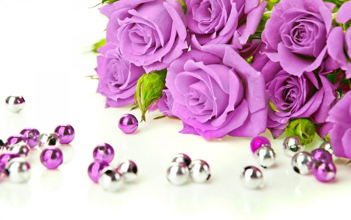 2018Nature___Flowers_Lilac_roses_with_beads_on_a_white_background_129363_19